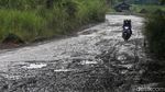 Potret Jalan Rusak Parah di Kabupaten Bogor