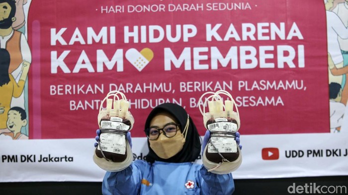 Sejumlah pendonor mendonorkan darahnya di PMI DKI Jakarta, Rabu (14/6/2023). Tema hari donor darah sedunia kali ini Kami Hidup Karena Kami Memberi berikan darahmu, Berikan Plasmu, Bantu Kehidupan dan Bantu Sesama.