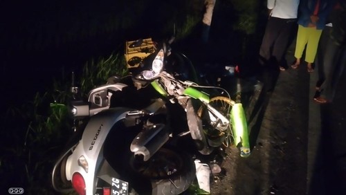 Dua motor yang saling beradu atau adu jangkrik di Desa Tegalbadeng Timur, Jembrana, Bali, Rabu (14/6/2023).