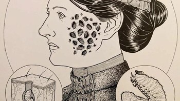 Trypophobia Foto: Ed Harrington