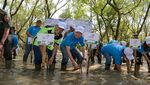 Jaga Kelangsungan Lingkungan Hidup Lewat Tanam 5.000 Bibit Mangrove