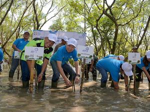 Jaga Kelangsungan Lingkungan Hidup Lewat Tanam 5.000 Bibit Mangrove