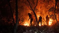 Petugas BPBD dan Tagana memadamkan api di hutan jati Petak 55 E milik Perhutani, Desa Bugeman, Kendit, Situbondo, Jawa Timur, Rabu (14/6/2023) malam. 