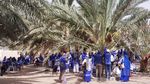 Berwisata di Kebun Kurma Madinah