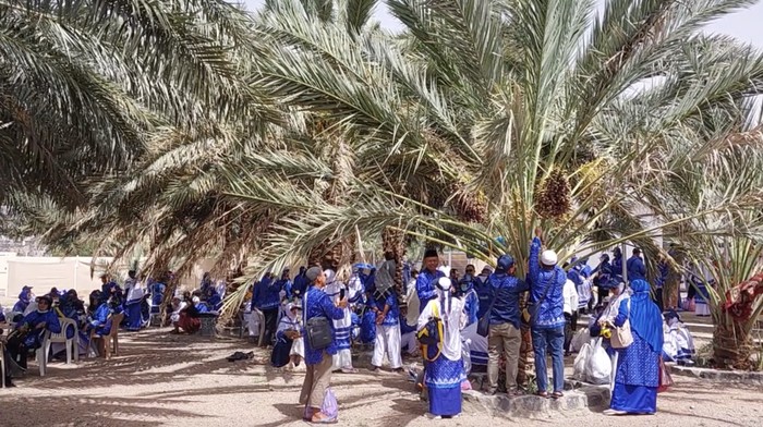 Kebun Kurma Fahd Madinah