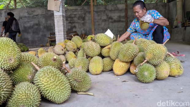 Kemenparekraf Sebut Durensari Destinasi Kelas Dunia, Masuk 75 Wisata Terbaik