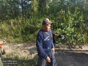 Kakek di Kukar 3 Hari Tersesat di Hutan, Cerita Lewati Jalan Misterius