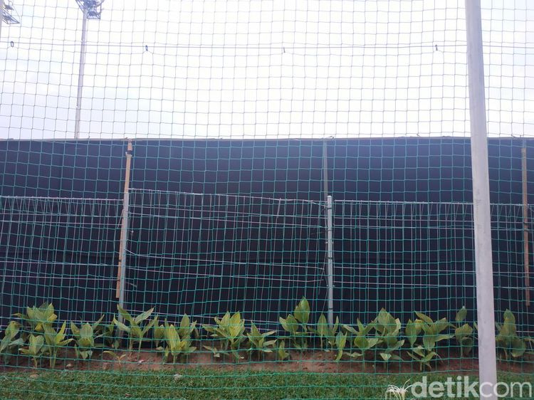 Foto Kain Hitam di Sekeliling Lapangan Latihan Timnas Indonesia
