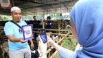 Makin Gampang! Beli Hewan Kurban Pakai QRIS