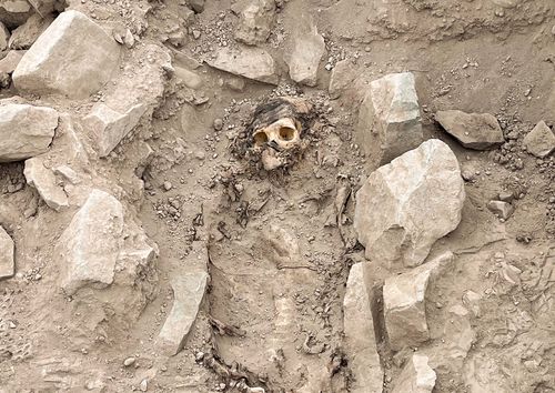 The remains of a mummy, believed to be from the Manchay culture which developed in the valleys of Lima between 1,500 and 1,000 BCE, are pictured at the excavation site of a pre-Hispanic burial, in Lima, Peru, June 14, 2023. REUTERS/Alfredo Galarza NO RESALES. NO ARCHIVES
