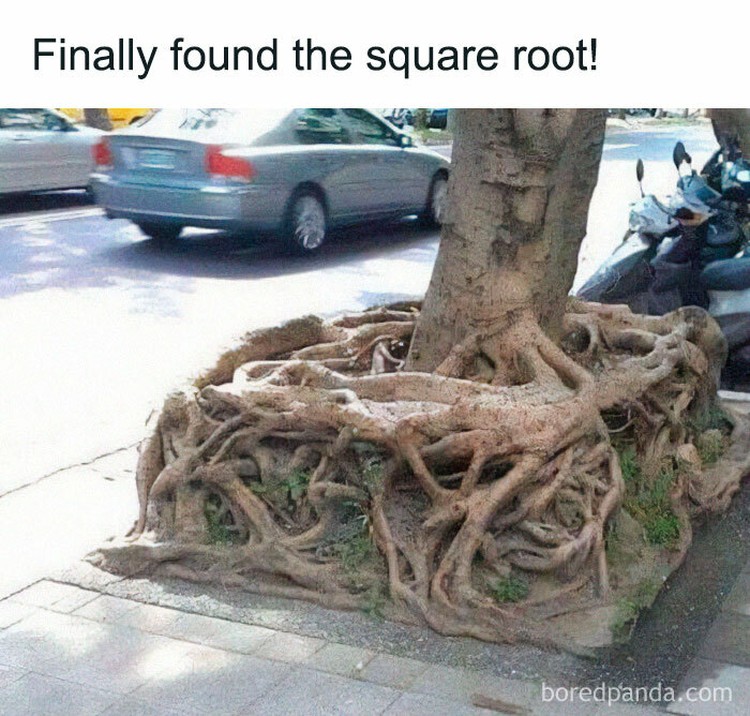 Meme yang Cuma Bisa Dipahami yang Jago Matematika notelibrary via Bored Panda