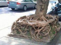 Meme yang Cuma Bisa Dipahami yang Jago Matematika