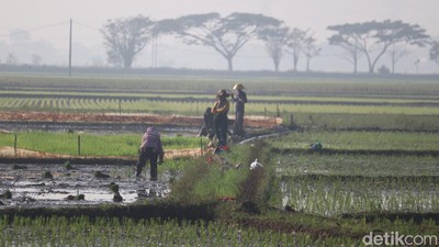 Melihat Pasukan Tandur dari Bandung