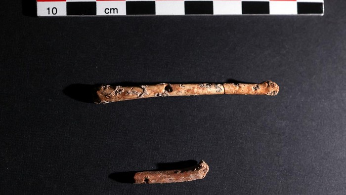 A researcher holds up a miniature flute, which scientists believe was crafted 12,000 years ago from bird bones and may have been used for bird calls, at the Hebrew University of Jerusalem, in Jerusalem, June 11, 2023 REUTERS/Ronen Zvulun