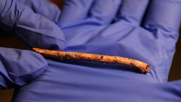 A researcher holds up a miniature flute, which scientists believe was crafted 12,000 years ago from bird bones and may have been used for bird calls, at the Hebrew University of Jerusalem, in Jerusalem, June 11, 2023 REUTERS/Ronen Zvulun