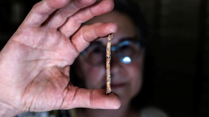 A researcher holds up a miniature flute, which scientists believe was crafted 12,000 years ago from bird bones and may have been used for bird calls, at the Hebrew University of Jerusalem, in Jerusalem, June 11, 2023 REUTERS/Ronen Zvulun