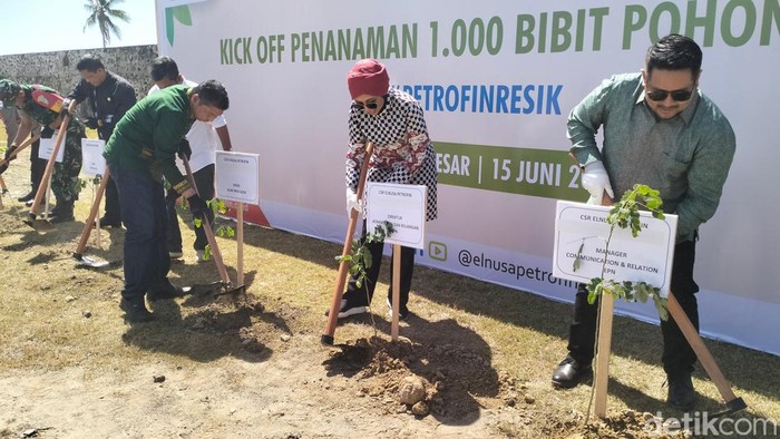 Penanaman pohon trembesi di situs Benteng Iskandar Muda. (Foto: Agus Setyadi/detikSumut)