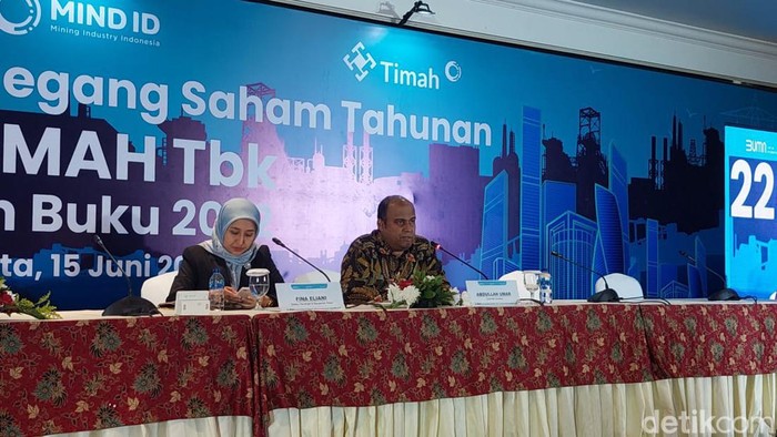 RUPST PT Timah 2023