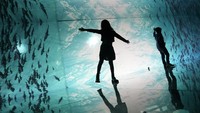 Menggunakan teknologi digital yang diproyeksikan pada layar panorama dan cermin, pameran ini memberi penghormatan kepada alam dengan menampilkan keindahan laut, seperti ikan, ubur-ubur, karang, Bima Sakti, gletser, dan matahari terbenam. AP/Silvia Izquierdo  