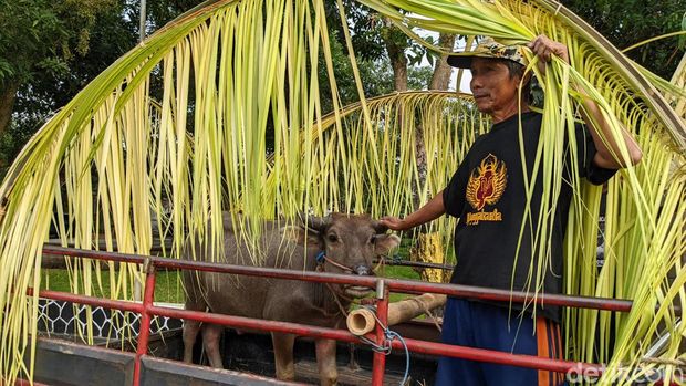 Tradisi Nyadran Trenggalek