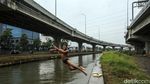 Aksi Bocil Taklukkan Arus Kalimalang