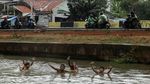Aksi Bocil Taklukkan Arus Kalimalang