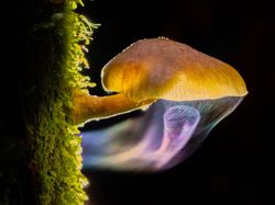 Karya Jawara Kontes Foto Alam yang Bikin Terkesima