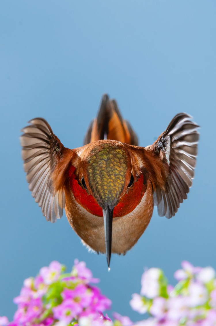 BigPicture Photography Competition 2023
