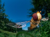 BigPicture Photography Competition 2023
