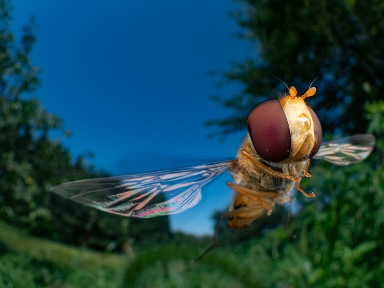 BigPicture Photography Competition 2023