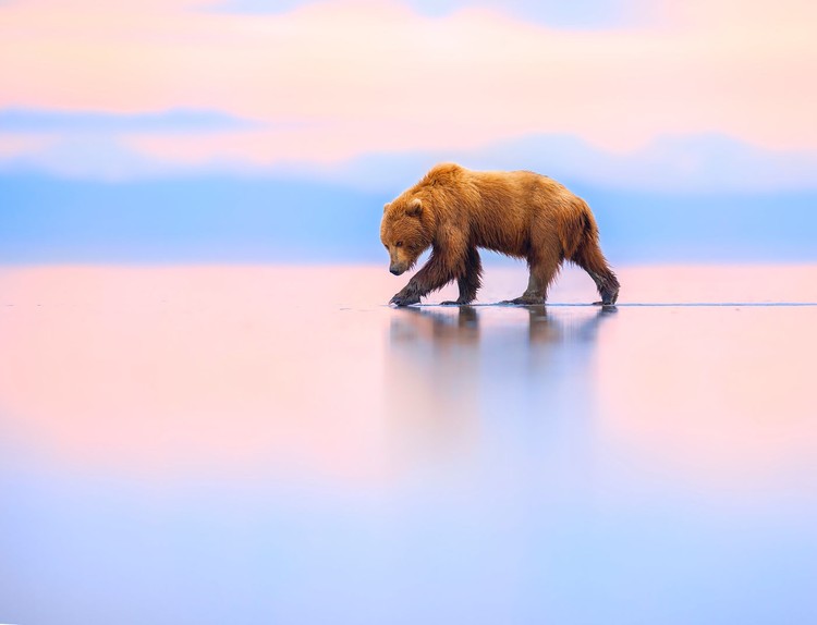 BigPicture Photography Competition 2023