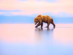 Karya Jawara Kontes Foto Alam yang Bikin Terkesima