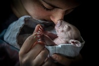 BigPicture Photography Competition 2023