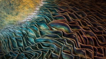 Pemenang kategori Art of Natur: J Fritz Rumpf. Foto: BigPicture Photography Competition