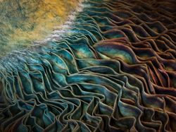 Karya Jawara Kontes Foto Alam yang Bikin Terkesima