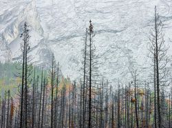 Karya Jawara Kontes Foto Alam yang Bikin Terkesima