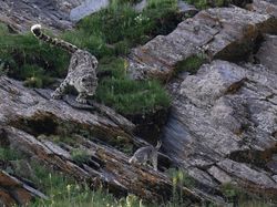 Karya Jawara Kontes Foto Alam yang Bikin Terkesima