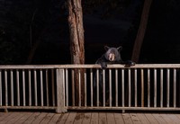 BigPicture Photography Competition 2023