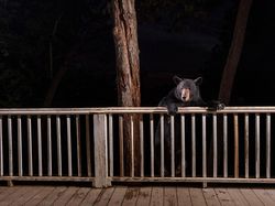 Karya Jawara Kontes Foto Alam yang Bikin Terkesima