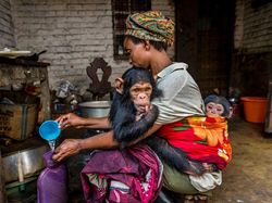 Karya Jawara Kontes Foto Alam yang Bikin Terkesima
