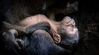 BigPicture Photography Competition 2023
