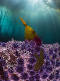 BigPicture Photography Competition 2023