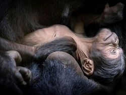 Karya Jawara Kontes Foto Alam yang Bikin Terkesima