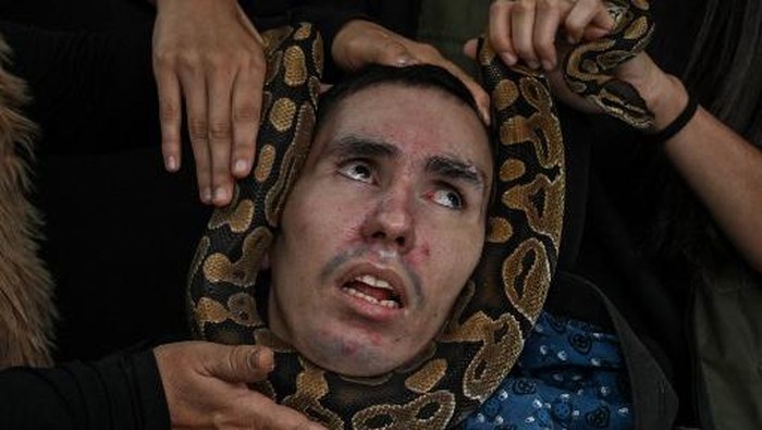 Merinding, Klinik Ini Pakai Ular hingga Buaya untuk Terapi Autisme