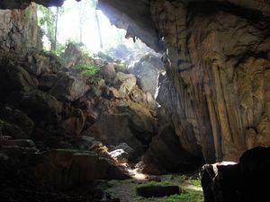 Kapan Manusia Pertama Kali Tiba di Asia Tenggara? Lebih Awal dari Dugaan