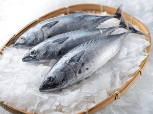 Mempopulerkan Komoditas Tuna