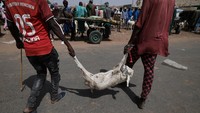 Dua orang pria membawa kambing yang telah dibeli.