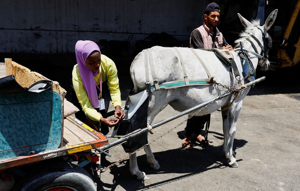 Penampakan kuda yang mengenakan popok sebagai upaya menjaga kebersihan di kawasan eir Al-Balah, Jalur Gaza, Palestina.