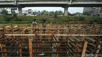 Kandang untuk hewan kurban itu terbuat dari bambu.  