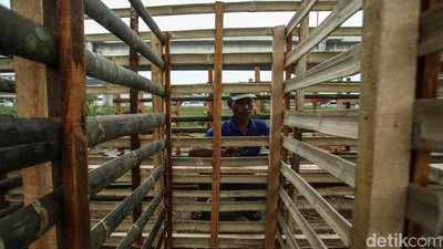 Melihat Pembuatan Kandang Hewan Kurban Jelang Idul Adha